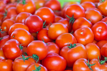 Fresh red  tomatoes, soft selective focus. Background with tomatoes