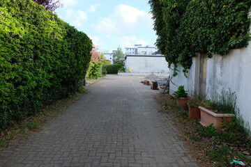 FU 2021-05-04 Wind 1 Kleiner Weg führt an einer Hecke vorbei