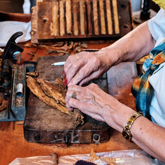 Hands of older woman rolling Cuban cigar from tobacco leaves.