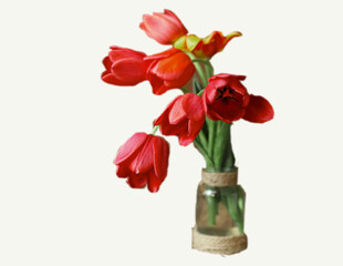 Vase with red tulips on isolated white background with copy space and cutout. 