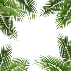 Fototapeta na wymiar Vector green palm leaves on white background.