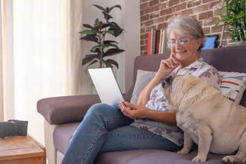 Old clear pug dog sitting on sofa at home close to a smiling old senior woman. Elderly modern happy gray haired lady using laptop computer enjoying technology and social media.