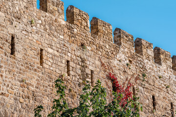 ancient fortress wall, twined with bindweed