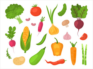 Set with hand drawn colorful doodle vegetables. Sketch style big vector collection. Flat icons set: carrot, onion, tomato, radish, beet, broccoli, asparagus, beans, corn, garlic, chili, pepper.