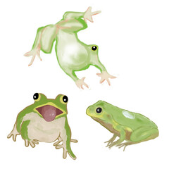 カエル　３ポーズ
