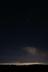 Obraz na płótnie Canvas night starry sky over the forest, sky seen from Poland in February, starry sky and black landscape outline