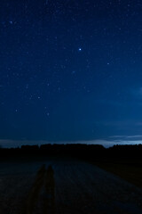 night starry sky over the forest, sky seen from Poland in February, starry sky and black landscape outline