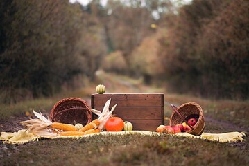 autumn still life
