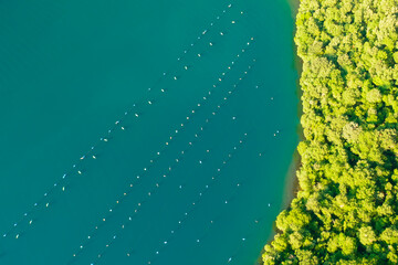 Waters of Lim bay with oyster farm surrounded by dense forest. Greenery growing on Adriatic sea...