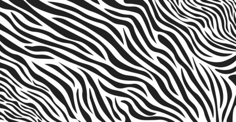Fototapeta na wymiar Wavy black and white zebra fur texture - Vector
