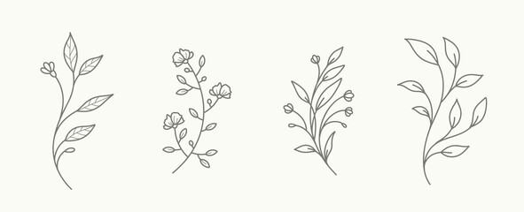 Fototapeta Minimalist floral branch for logo or tattoo. Hand drawn flowers and leaves. Botanical trendy greenery for invitation save the date card obraz