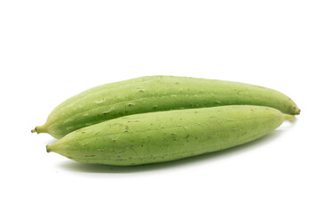 whole fresh loofah or Sponge Gourd,front view