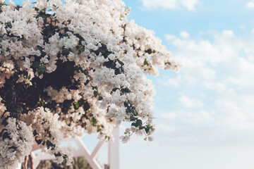 Wedding arch of flowers with sky background.