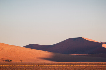 Fototapeta na wymiar Dune 45 in Namib Naukluft Desert at sunrise, Namibia, Southern Africa