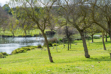 Landscape over Garden Parque da Paz in Almada, Portugal