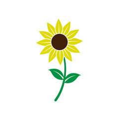 Sunflower icon design template illustration vector