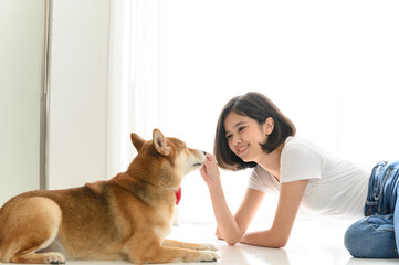 Laughing jocund young asian woman sitting on the floor playing with her Shiba Inu Japanese dog, Cheerful and nice couple with people and pet, Cheerful and nice couple with people and pet. Pet Lover