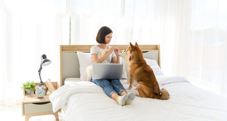 Young Asian woman relaxing and playing with three dogs (brown shiba inu, white shiba puppy and white maltese)in bedroom at home, Cheerful and nice couple with people and pet. Pet Lover concept