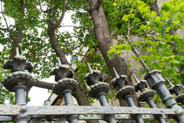 Finial of a fence that belongs to a museum in Bucharest. Fountain form looks delicate and in contrast to its iron strength. The tiny needle tips keep away burglars.