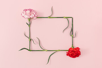 Rectangle shaped frame made of two fresh natural carnation flowers on pastel pink background. Minimal spring floral border. Blossom idea. Flat lay with copy space.