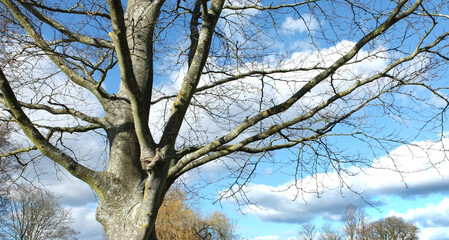 West Sussex sky views on a bright February day