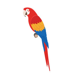Macaw parrot sitting on a branch
