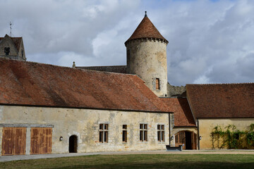 Fototapeta na wymiar Blandy les Tours, France - august 21 2020 : the historical castle