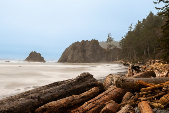 The rugged coastline of Olympic National Park
