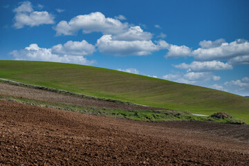 green crop fields and blue cloudy sky