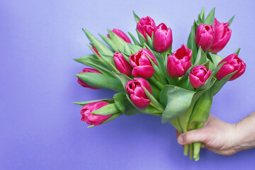 mans hand holding bouquet of fresh flowers tulips on blue background.