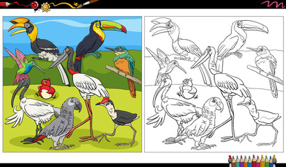 cartoon birds animal characters group coloring book page