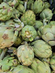 Obraz premium artichokes at the farm. Healthy vegetable