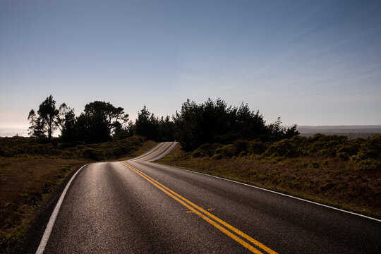 Sunlight shining on blacktop roadway leading to forest