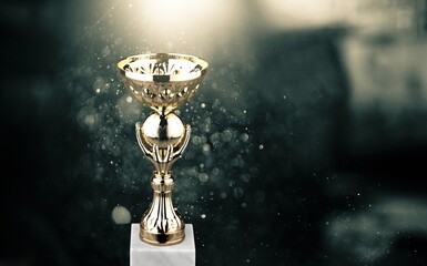Golden metal trophy cup. Festive light background.