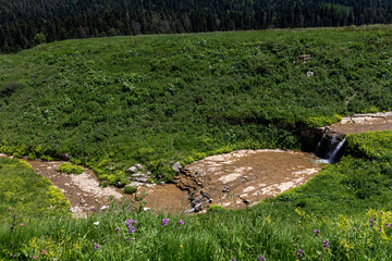 Obraz premium The sources of the mountain river, the journey along the riverbed, the shallow bottom and the stones warm up in the sunlight.