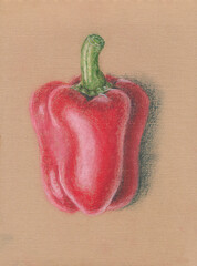 Soft pastel drawing of red bell pepper