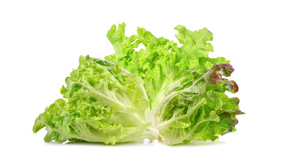 Fresh green, red lettuce isolated on white background.