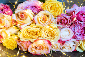 Wunderschöne bunte Rosen für Dich. 