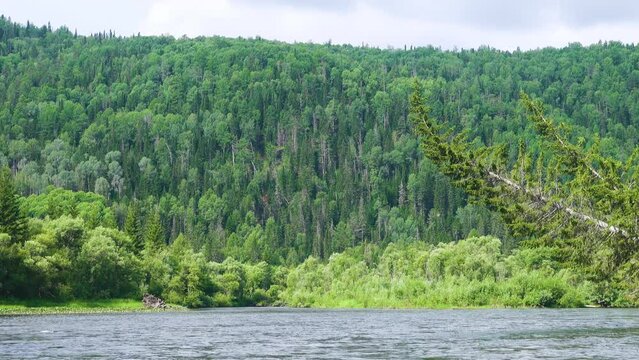 Middle Siberia, Krasnoyarsk Territory. Hilly (coniform hill) river bank, pour. Taiga mixed forests