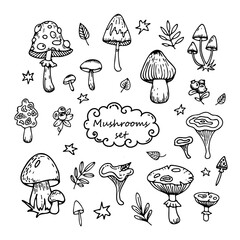Set of vector hand drawn elements. Set of vector mushrooms. Simple vector elements.Collection of vector magic decorative mushrooms
