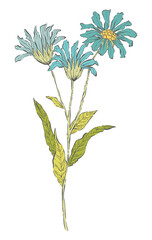Detailed Hand Drawn Flower - Vector Illustration