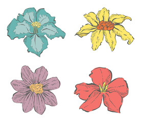 Set of Hand Drawn Spring Flowers, Vector Illustrations