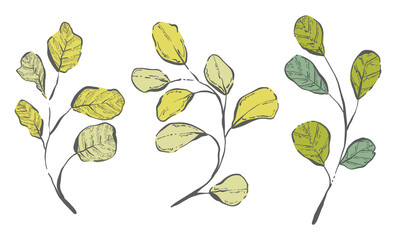 Hand Drawn spring branches, Vector Illustrations set