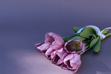bouquet of purple  tulips on purple background  with copy space