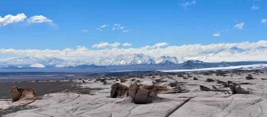 Foto auf Acrylglas Panoramic view of multiform rocks of pumice with a chain of volcanic mountains in the background, unique and incredible landscape. Campo de Piedra Pomez, Catamarca Province, Argentina © Luis
