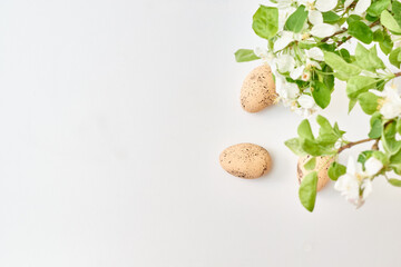 Spring flowers and easter eggs on a white background. Happy easter flat lay concept with copy space