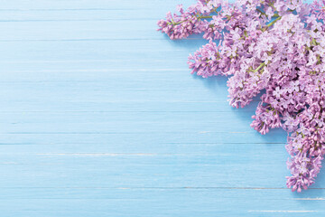 lilac on blue wooden background