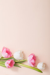 Obraz na płótnie Canvas pink and white tulips on paper background