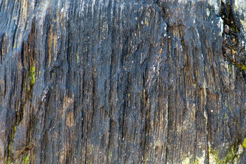 texture of the rock on the beach near me
