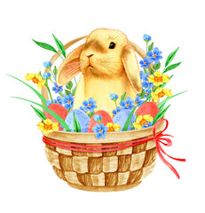 Easter bunny in basket with flowers and eggs on white isolated background for greeting card. Vintage watercolor illustration